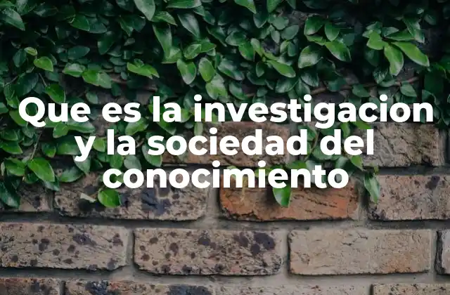 Que es la Investigacion y la Sociedad Del Conocimiento