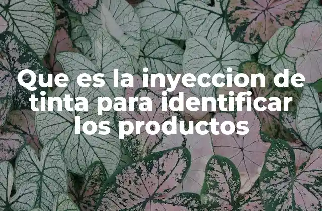 Que es la Inyeccion de Tinta para Identificar los Productos