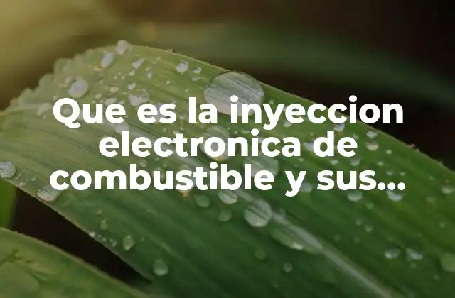 Que es la Inyeccion Electronica de Combustible y Sus Componentes