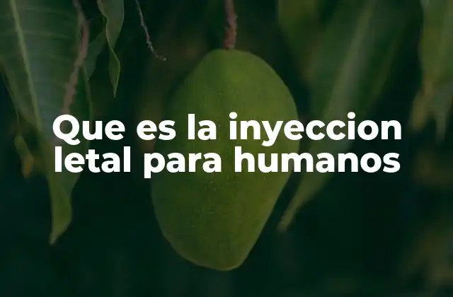 Que es la Inyeccion Letal para Humanos