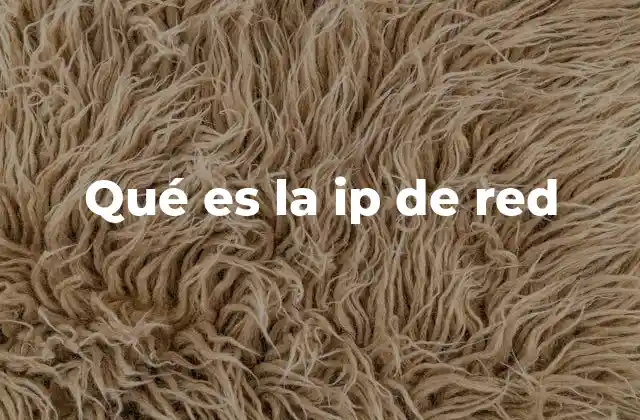 Qué es la Ip de Red
