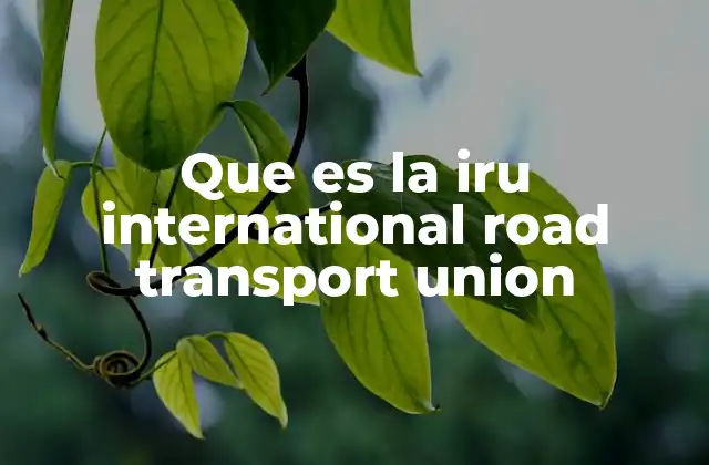 Que es la Iru International Road Transport Union