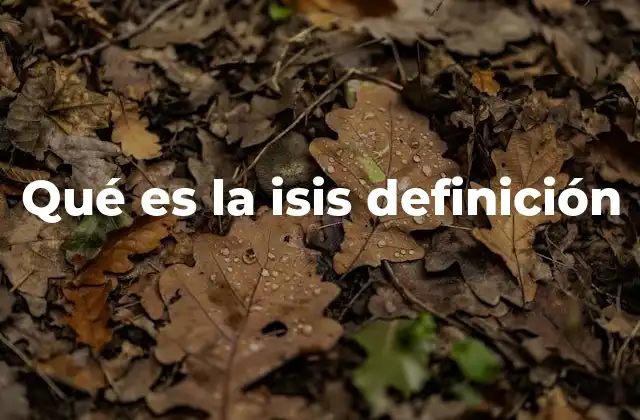 Qué es la Isis Definición