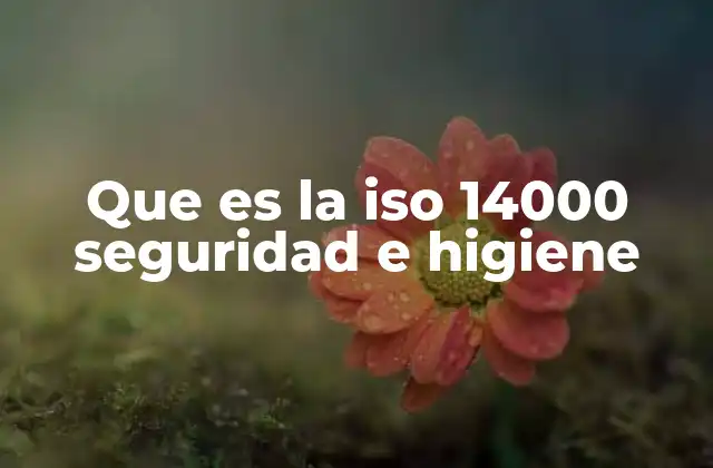 Que es la Iso 14000 Seguridad e Higiene