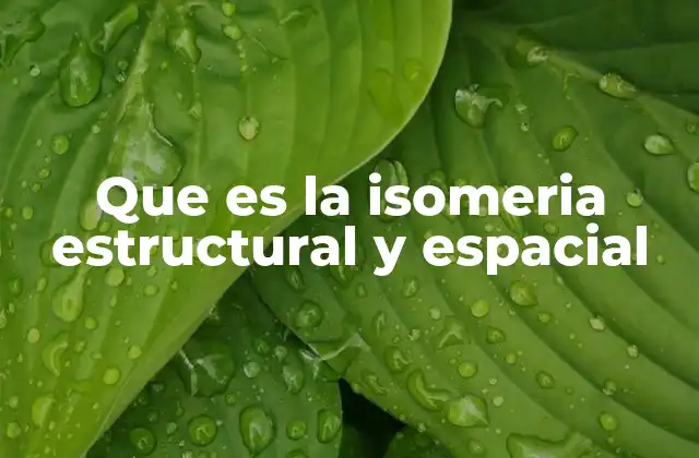 Que es la Isomeria Estructural y Espacial