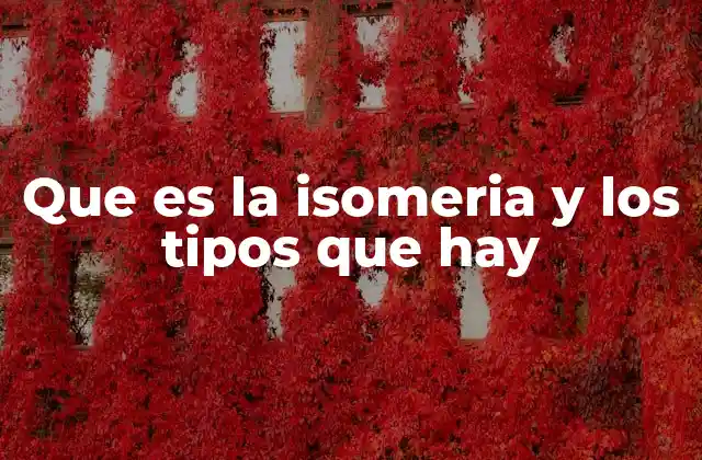 Que es la Isomeria y los Tipos que Hay