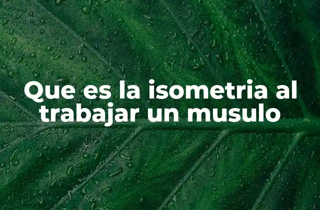 Cómo funciona la isometría a nivel muscular