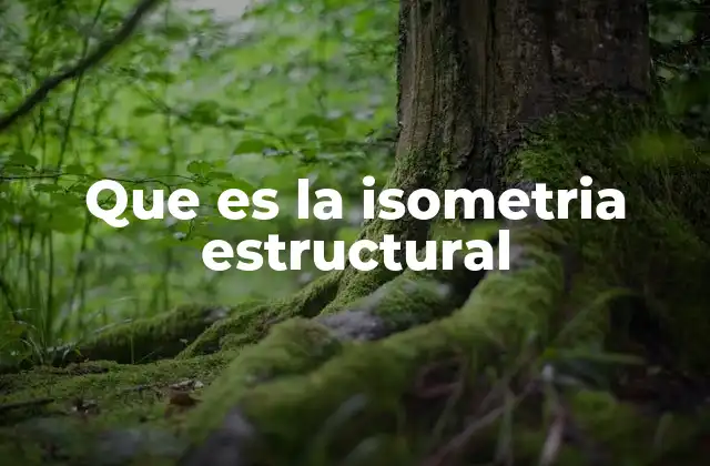 Que es la Isometria Estructural