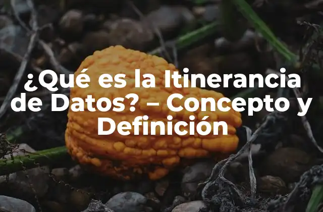 ¿qué es la Itinerancia de Datos? – Concepto y Definición