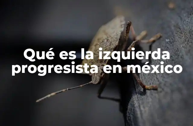 El papel de la izquierda progresista en la política mexicana