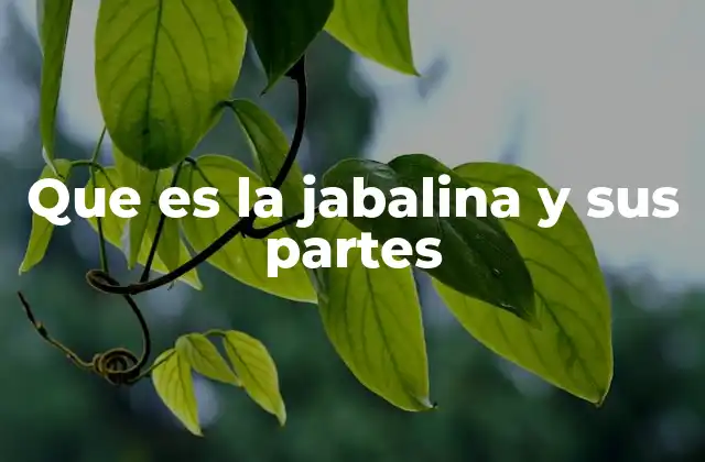 Que es la Jabalina y Sus Partes