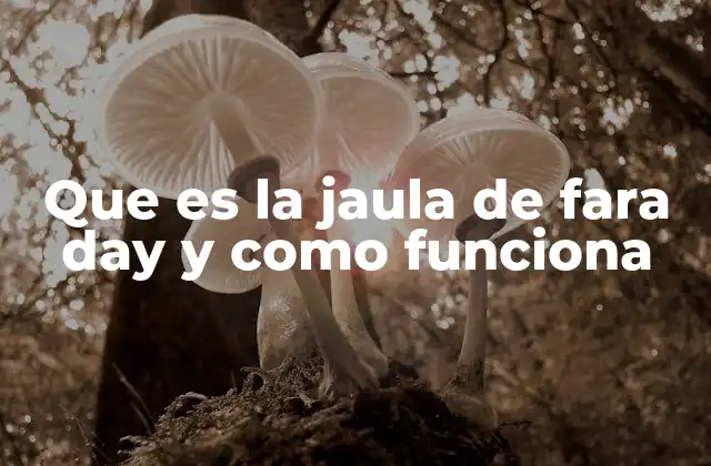 Que es la Jaula de Fara Day y como Funciona