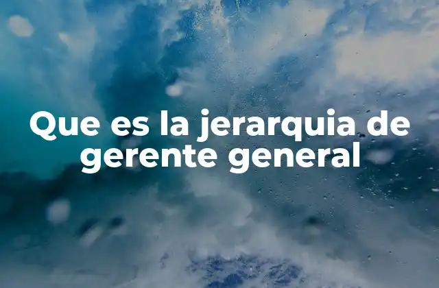 Que es la Jerarquia de Gerente General