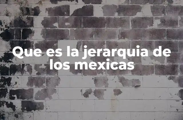 La organización social en el imperio mexica