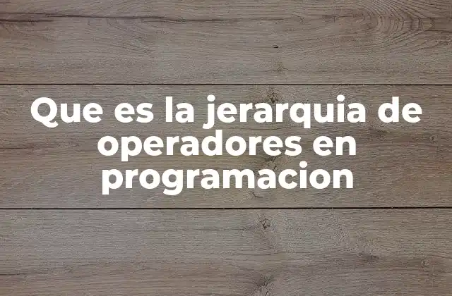 Que es la Jerarquia de Operadores en Programacion