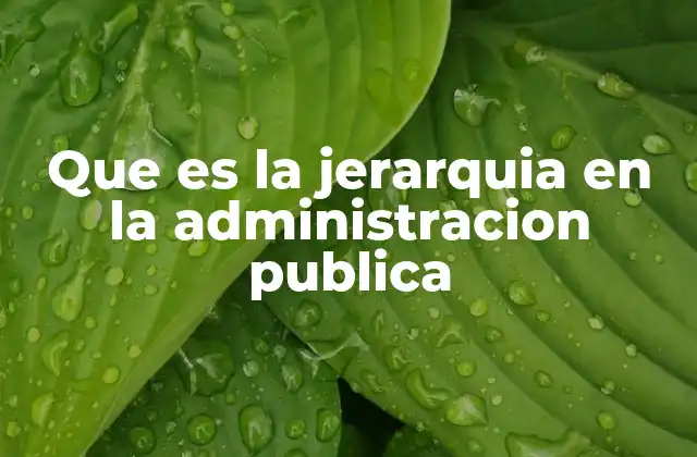 Que es la Jerarquia en la Administracion Publica