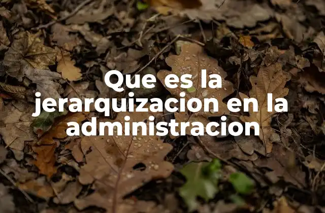 Que es la Jerarquizacion en la Administracion