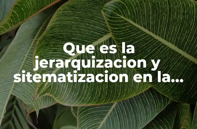 Que es la Jerarquizacion y Sitematizacion en la Investigacion Cualitativa