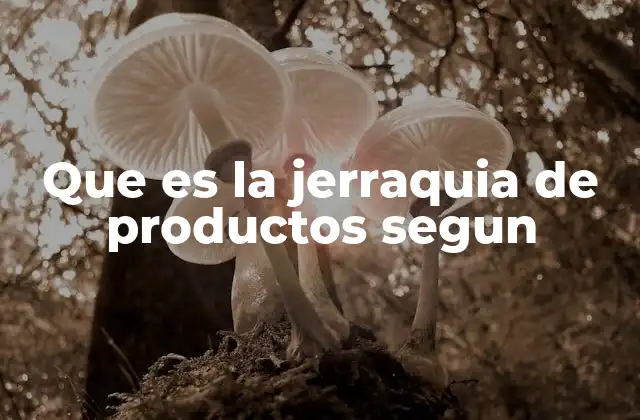 Que es la Jerraquia de Productos Segun