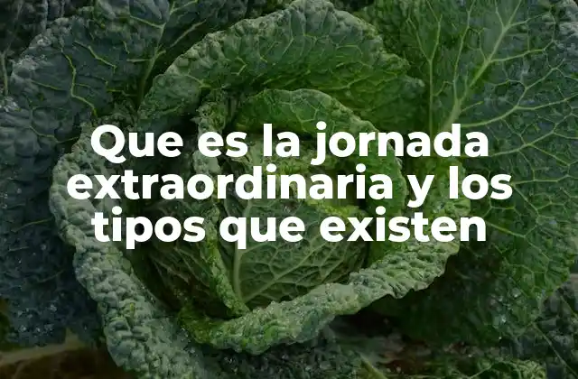 Que es la Jornada Extraordinaria y los Tipos que Existen