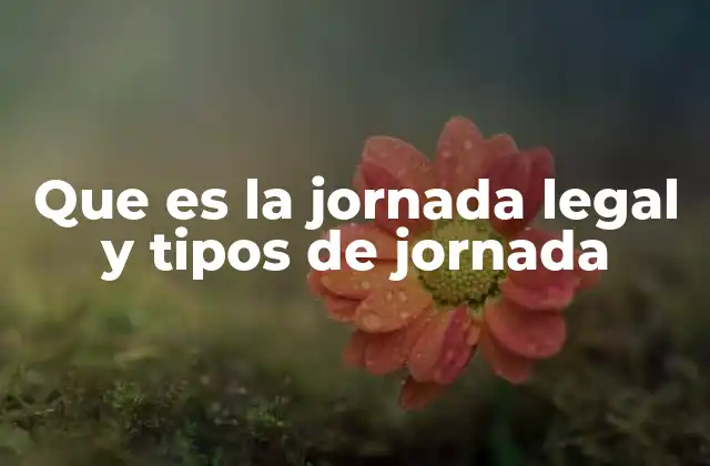 Que es la Jornada Legal y Tipos de Jornada