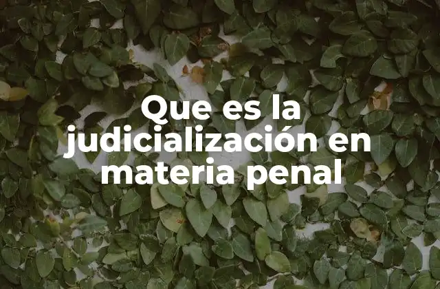 Que es la Judicialización en Materia Penal