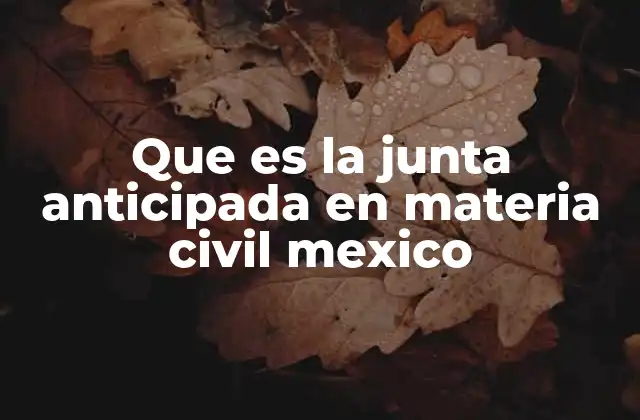 Que es la Junta Anticipada en Materia Civil Mexico 2 La importancia de la junta anticipada en el sistema legal mexicano