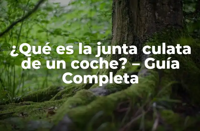 ¿qué es la Junta Culata de un Coche? – Guía Completa