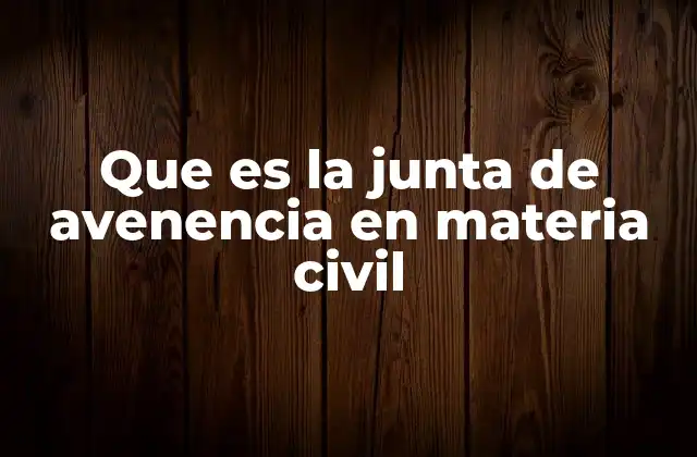 Que es la Junta de Avenencia en Materia Civil