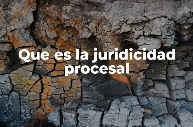 Que es la Juridicidad Procesal