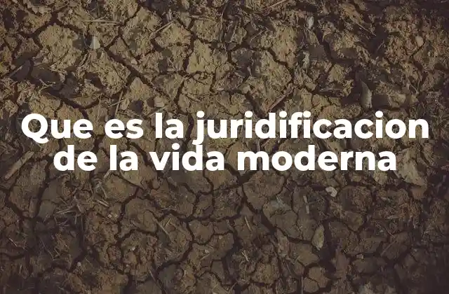 Que es la Juridificacion de la Vida Moderna