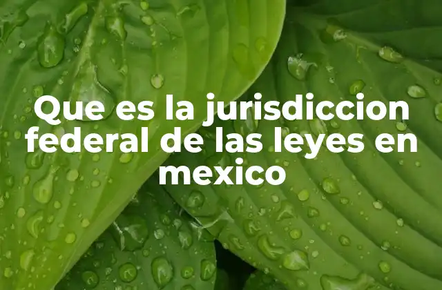 Que es la Jurisdiccion Federal de las Leyes en Mexico