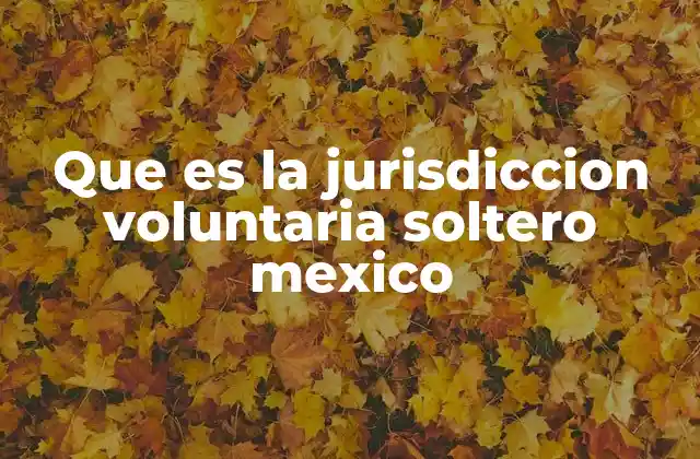 Que es la Jurisdiccion Voluntaria Soltero Mexico
