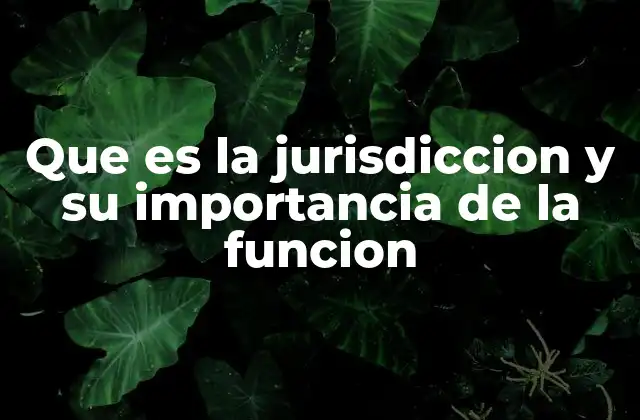 Que es la Jurisdiccion y Su Importancia de la Funcion