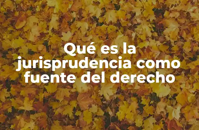 Qué es la Jurisprudencia como Fuente Del Derecho