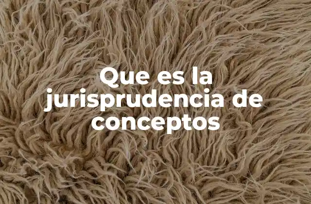 Que es la Jurisprudencia de Conceptos
