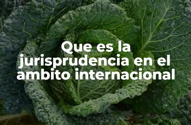 Que es la Jurisprudencia en el Ambito Internacional