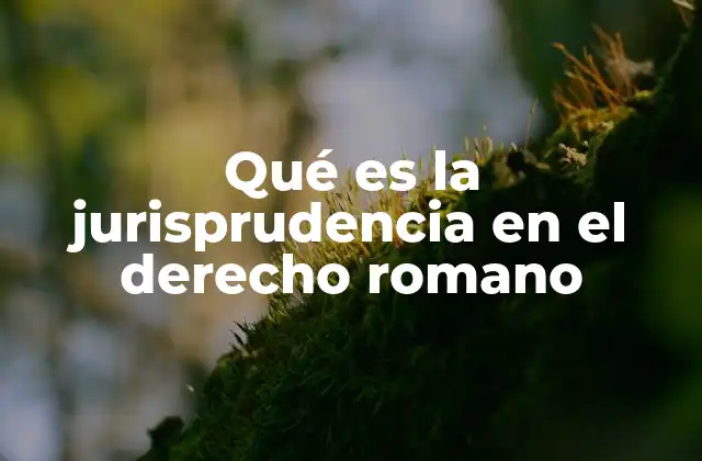 Qué es la Jurisprudencia en el Derecho Romano 2 El papel de los jurisconsultos en la formación del derecho romano