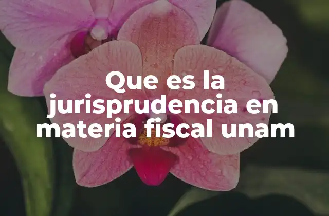 Que es la Jurisprudencia en Materia Fiscal Unam
