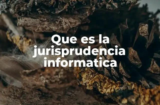 Que es la Jurisprudencia Informatica