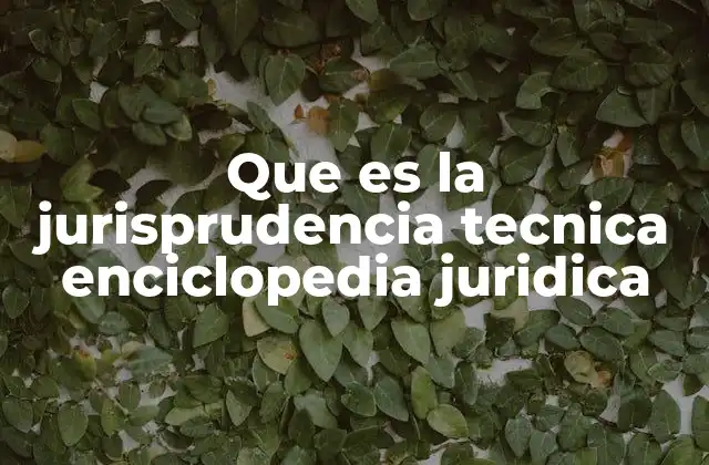 Que es la Jurisprudencia Tecnica Enciclopedia Juridica