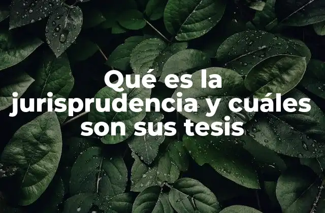 Qué es la Jurisprudencia y Cuáles Son Sus Tesis