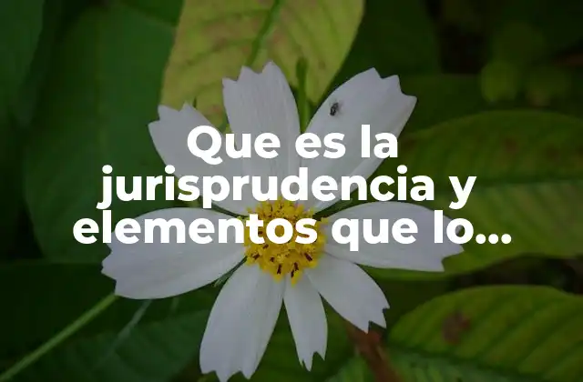 Que es la Jurisprudencia y Elementos que Lo Componen