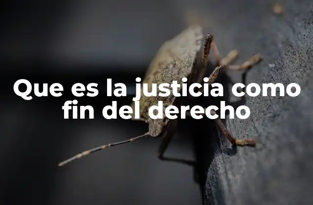 El rol del derecho en la búsqueda de la justicia
