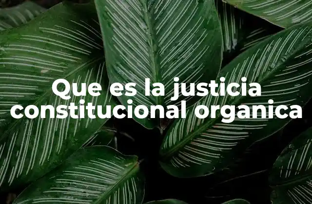 Que es la Justicia Constitucional Organica
