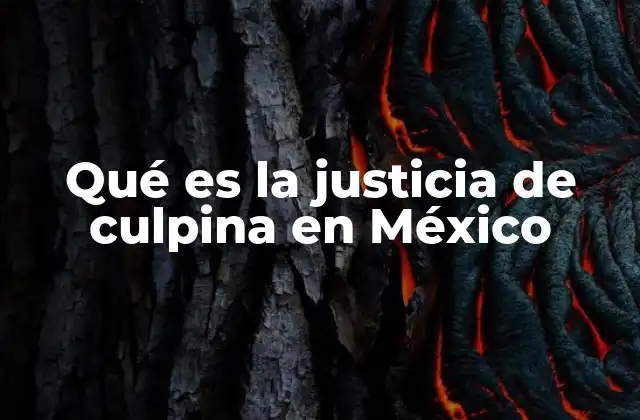 Qué es la Justicia de Culpina en México
