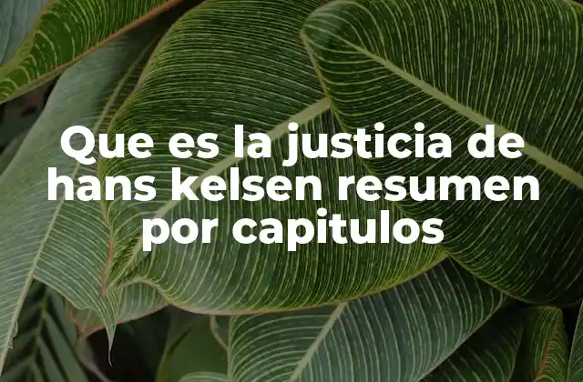 Que es la Justicia de Hans Kelsen Resumen por Capitulos