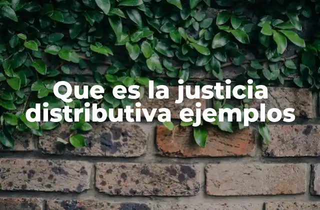 Que es la Justicia Distributiva Ejemplos