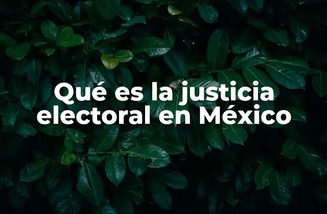 Qué es la Justicia Electoral en México