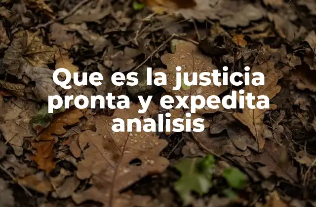 Que es la Justicia Pronta y Expedita Analisis